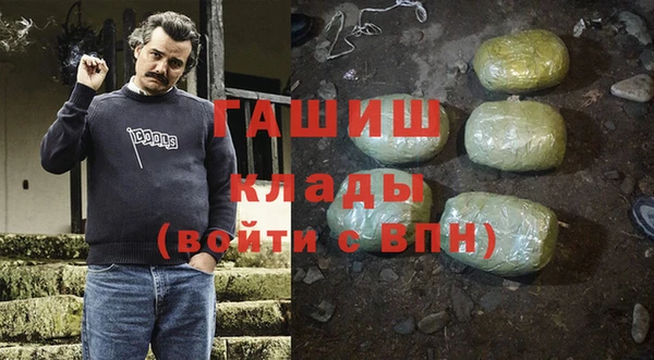 стаф Алзамай
