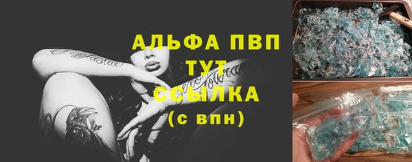 стаф Алзамай