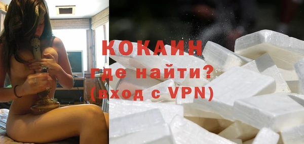 стаф Алзамай