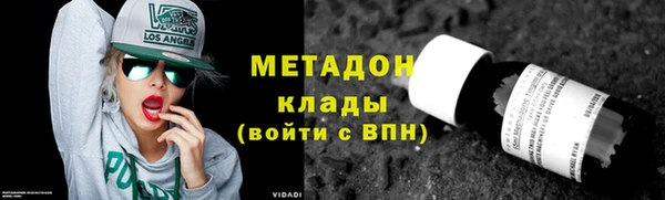 стаф Алзамай
