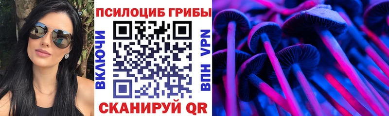 Галлюциногенные грибы ЛСД  магазин продажи   Рыбное 